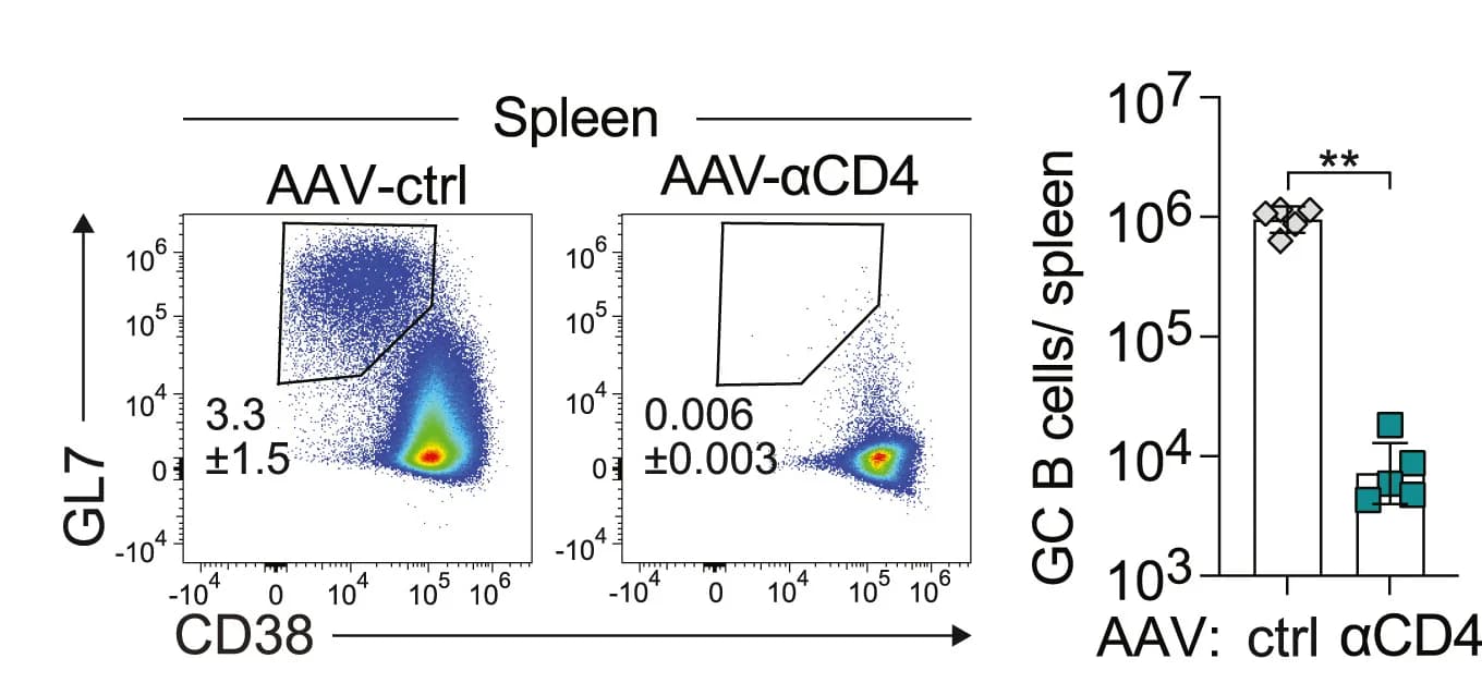 Open access visualization of Scatter Plot, Bar Plot, Error Bars, FACS, GC B Cells