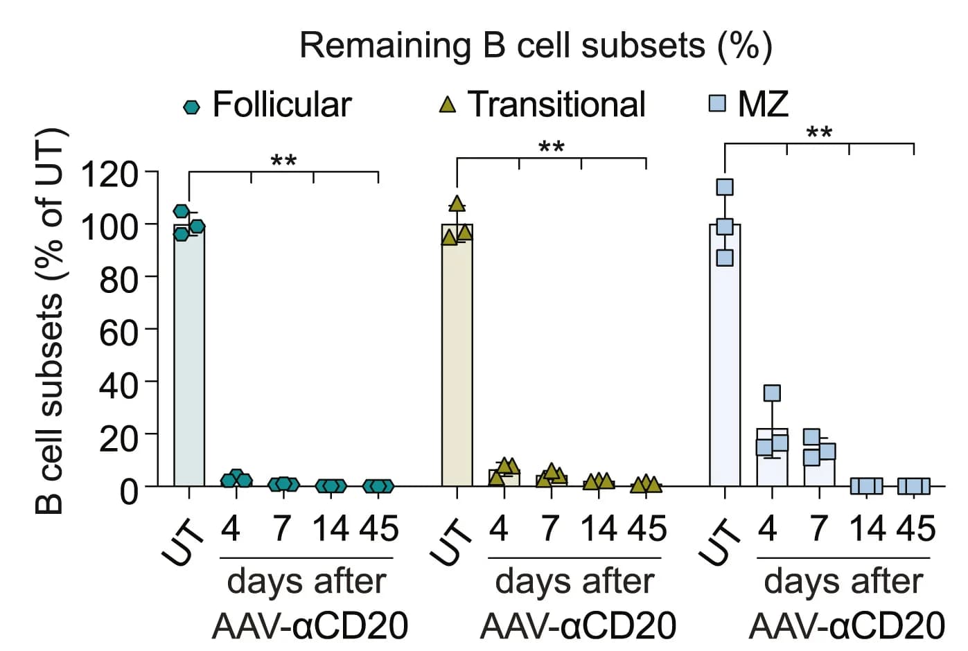 Open access visualization of Bar Plot, Error Bars, Scatter Plot, Depletion Efficiency, B Cell Subsets