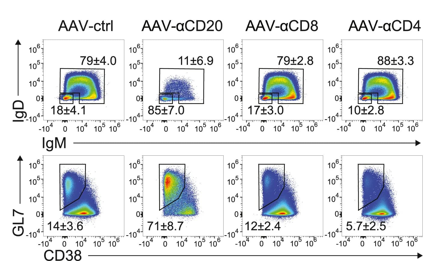 Open access visualization of Scatter Plot, FACS Plots, Non-Class-Switched B Cells, Class-Switched B Cells, GC B Cells