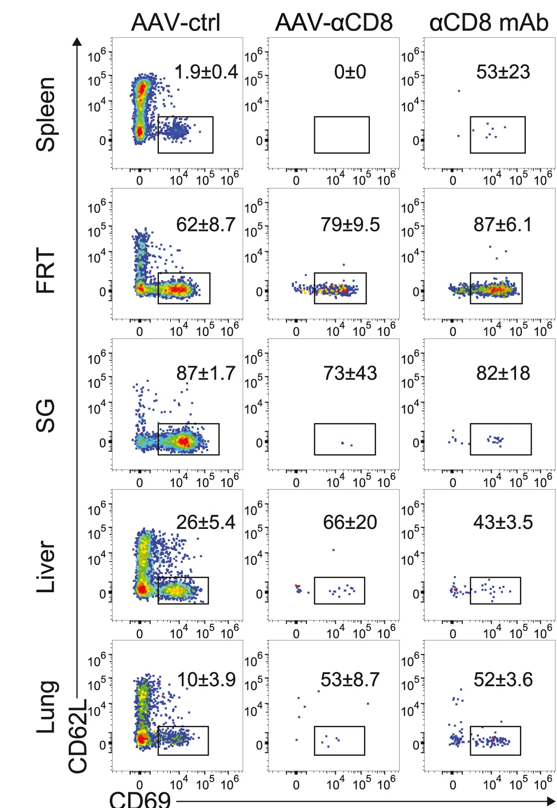 Open access visualization of Scatter Plot, FACS Plots, CD45.2 i.v.negCD69+P14 Trm Cells, CD4−B220−CD8β+CD45.2+CD45.1−CD45.2-i.v.−CD44+Live Lymphocytes