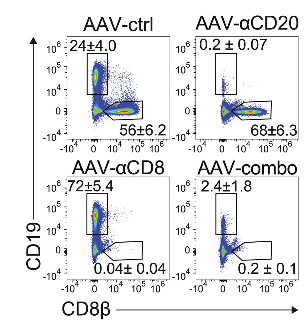 Open access visualization of Scatter Plot, FACS Plots, Live Lymphocytes