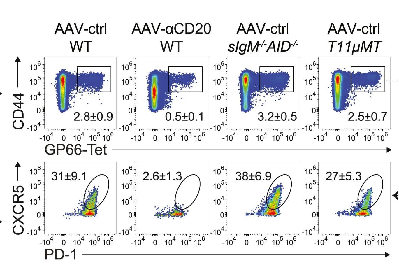 Open access visualization of Scatter Plot, FACS Plots, Lymphocytes