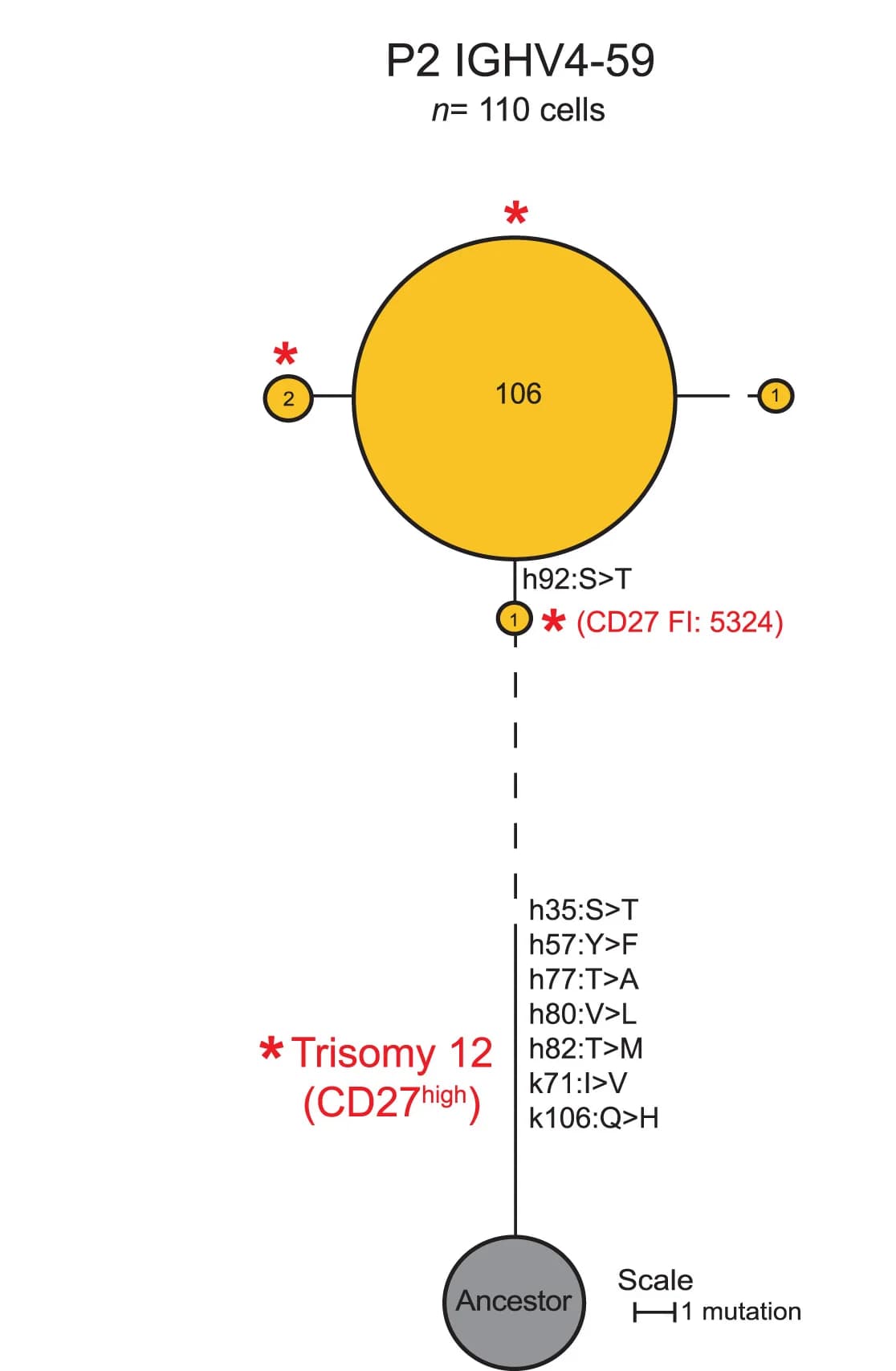 Open access visualization of Network, Pathway, Clonal Trees, V(D)J Mutations, Nearest Neighbor Analysis