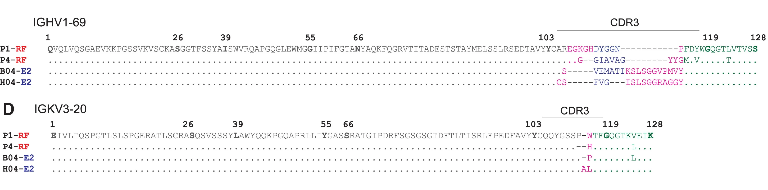 Open access visualization of Protein Structure, Illustration, Amino Acid Alignment, Heavy Chain, Kappa Light-Chain