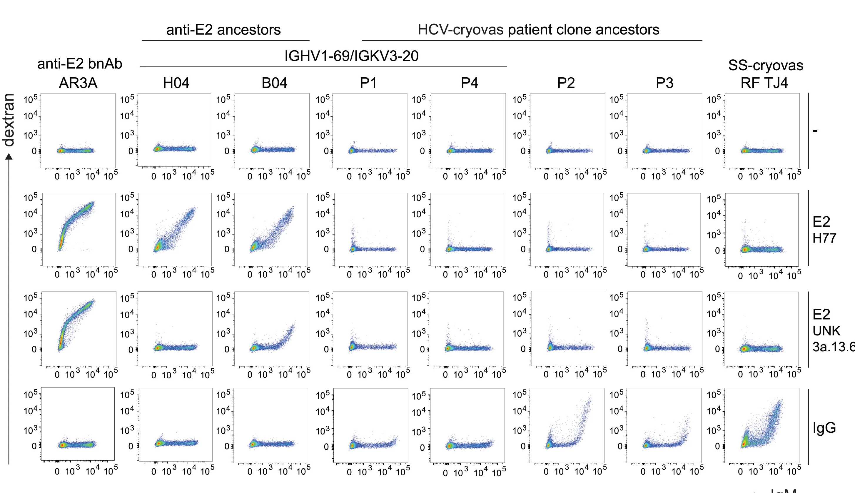 Open access visualization of Scatter Plot, Dextran, HCV E2, IgG, HEK293 Cells