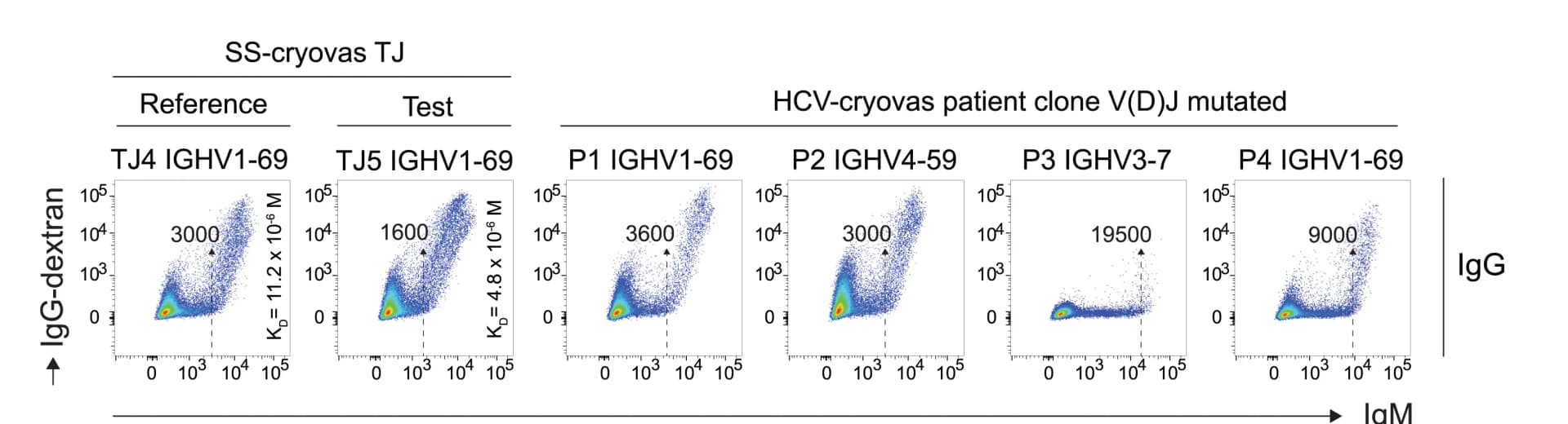 Open access visualization of Scatter Plot, IgG Dextran, V(D)J Mutated IgM, Membrane IgM, RF Autoantibodies