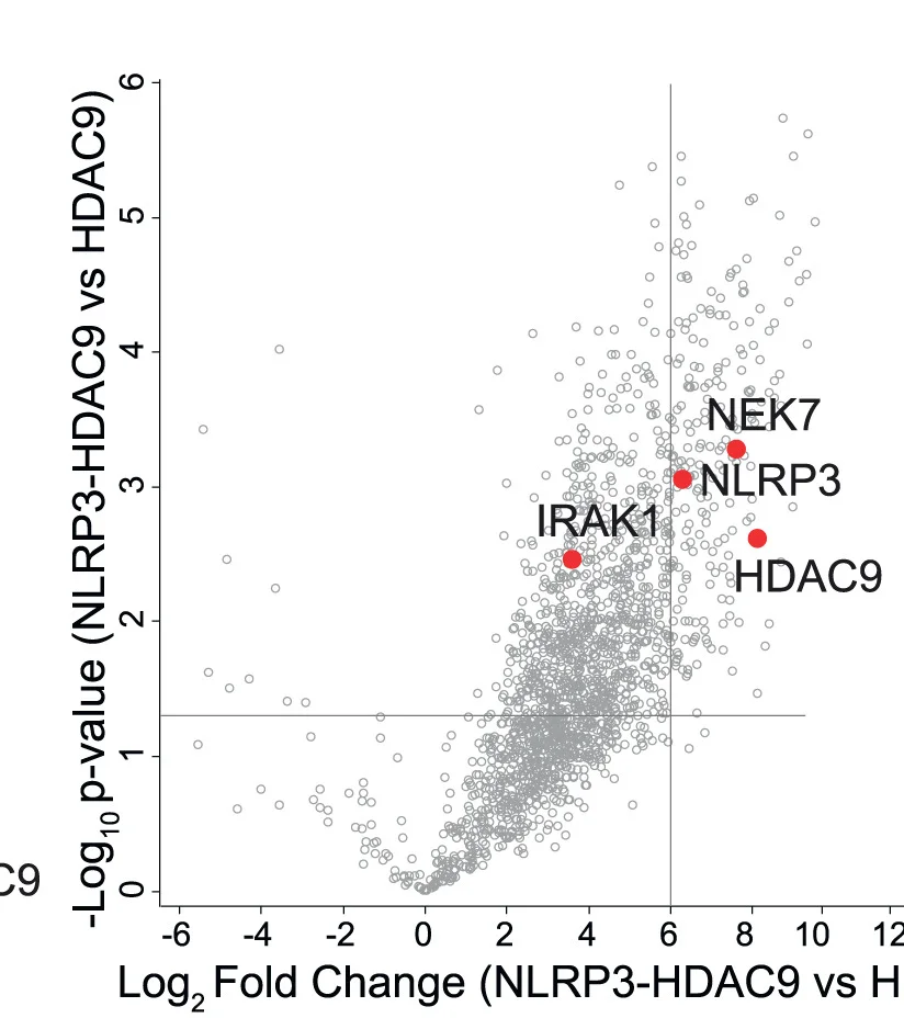 Open access visualization of Scatter Plot, HEK293 Cells, Transfection, HDAC9, NLRP3