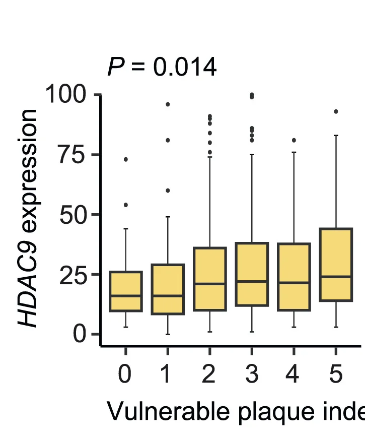 Open access visualization of Box Plot, Plaque HDAC9 Expression, Vulnerable Plaque Index, Kruskal-Wallis Test, Median Values