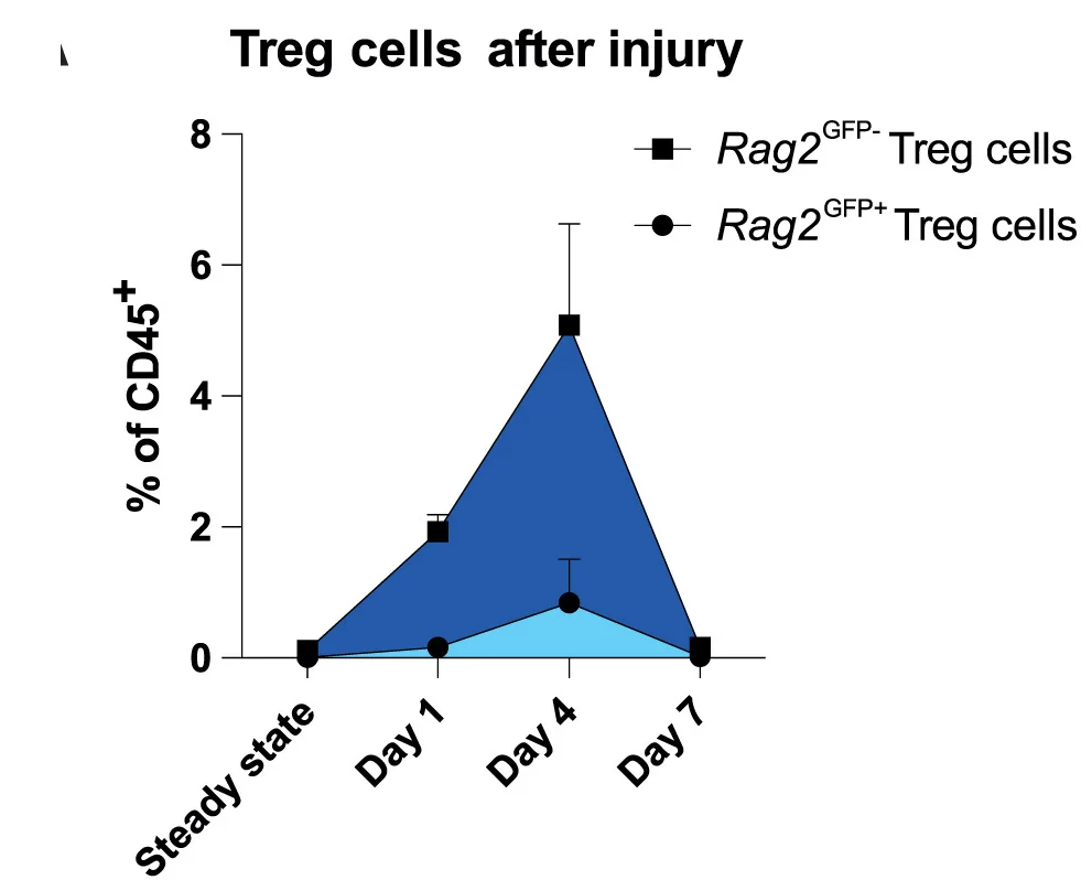 Open access visualization of Line Plot, Error Bars, GFP Expression, Thymic Treg Cells, Rag2GFP Mice