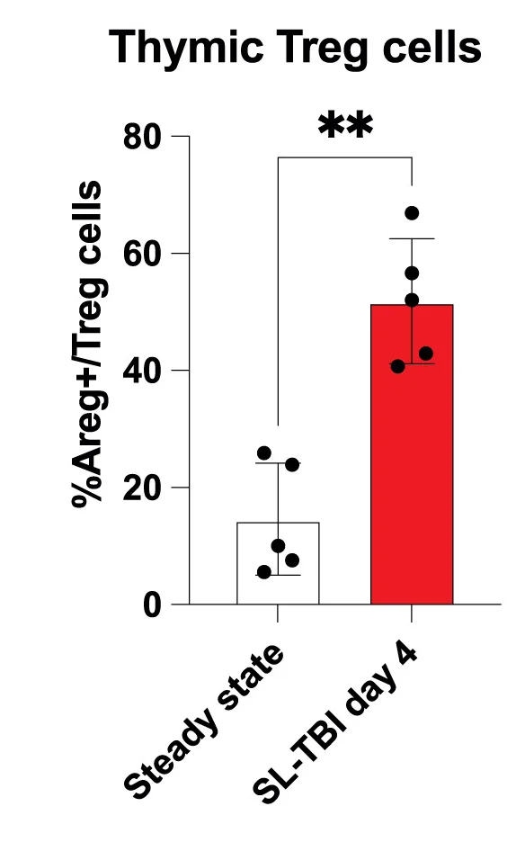 Open access visualization of Bar Plot, Error Bars, Amphiregulin Expression, Treg Cells, Flow Cytometry