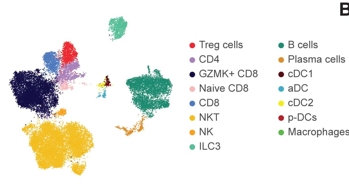 Open access visualization of Scatter Plot, UMAP, PCA, Rag2GFP-CD45+ Cells, Cell Populations