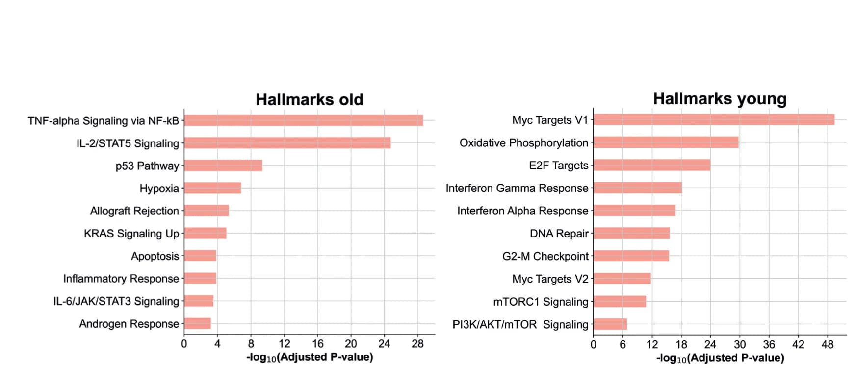 Open access visualization of Bar Plot, GSEA, Rag2GFP Treg Cells, Upregulated Genes, Aged Mice