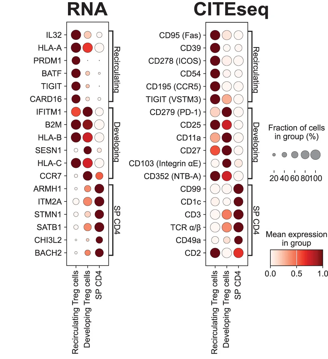 Open access visualization of Bubble Plot, Scatter Plot, Gene Expression, CITE-seq, RNA