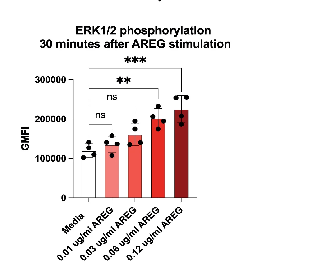 Open access visualization of Bar Plot, Error Bars, pERK1/2, huSVERT, Amphiregulin