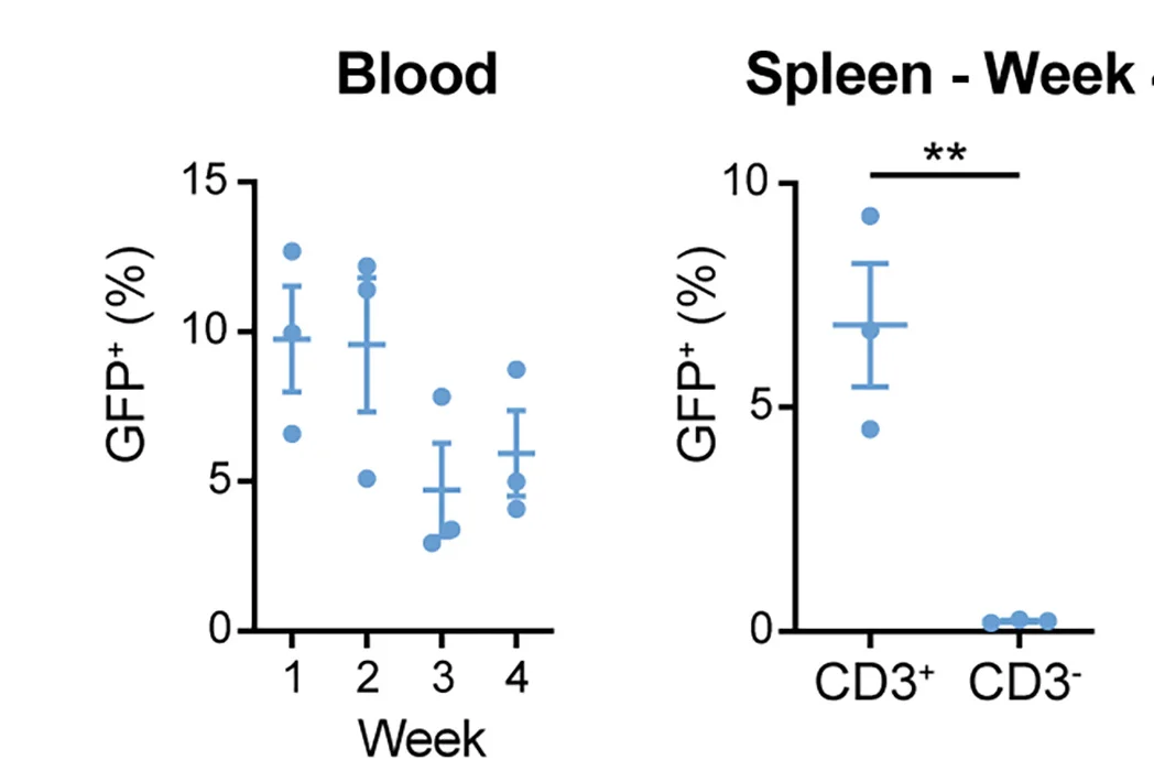 Open access visualization of Scatter Plot, Error Bars, GFP Expression, CD3+ PBLs, CD3+ Splenocytes