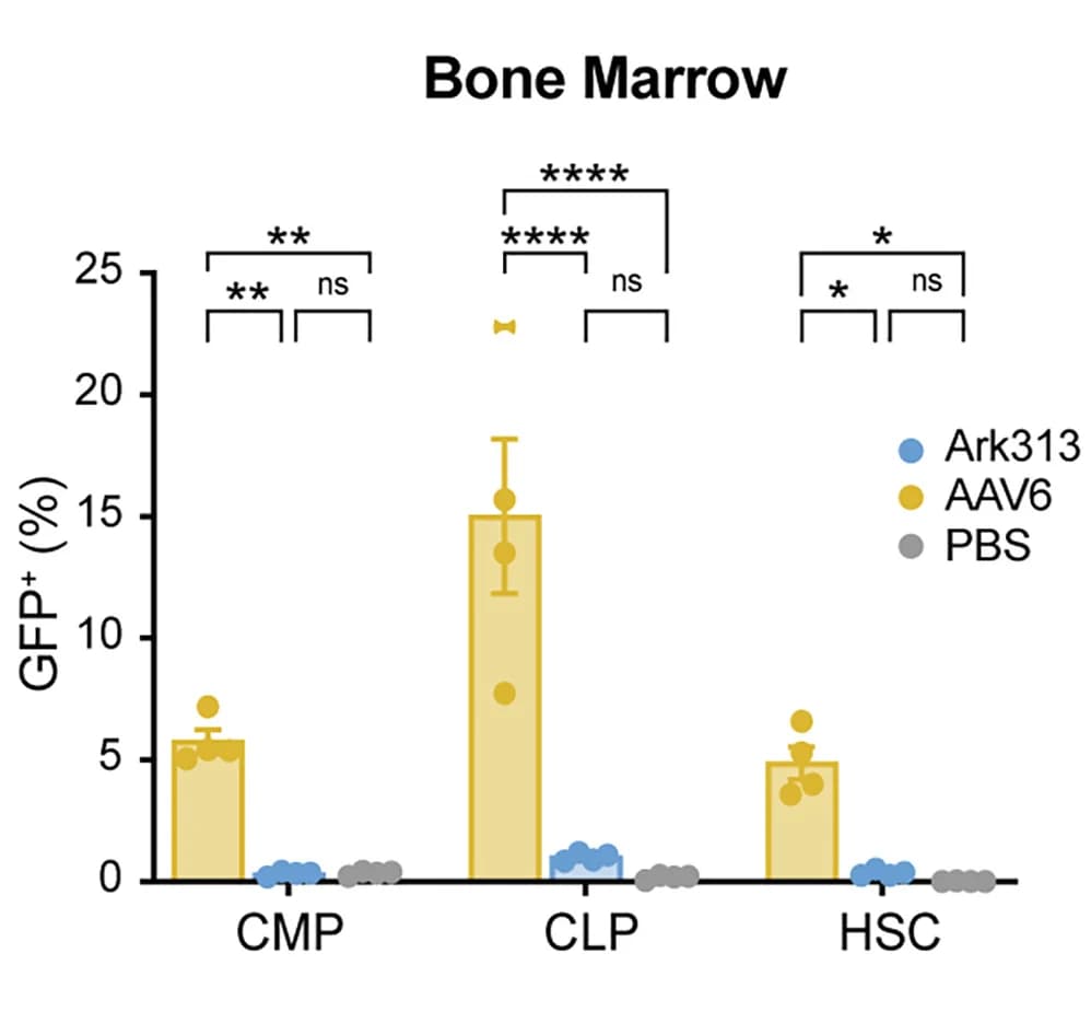 Open access visualization of Bar Plot, Error Bars, GFP Expression, Common Myeloid Progenitors, Common Lymphoid Progenitors