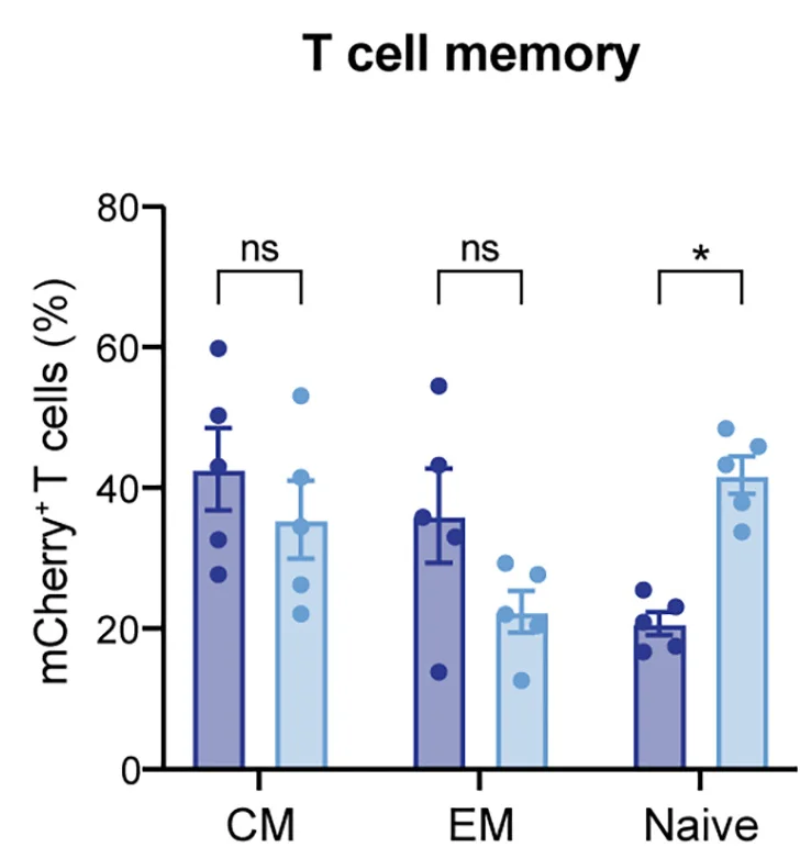 Open access visualization of Bar Plot, Error Bars, Clustered, Scatter Plot, T Cell Memory Subsets