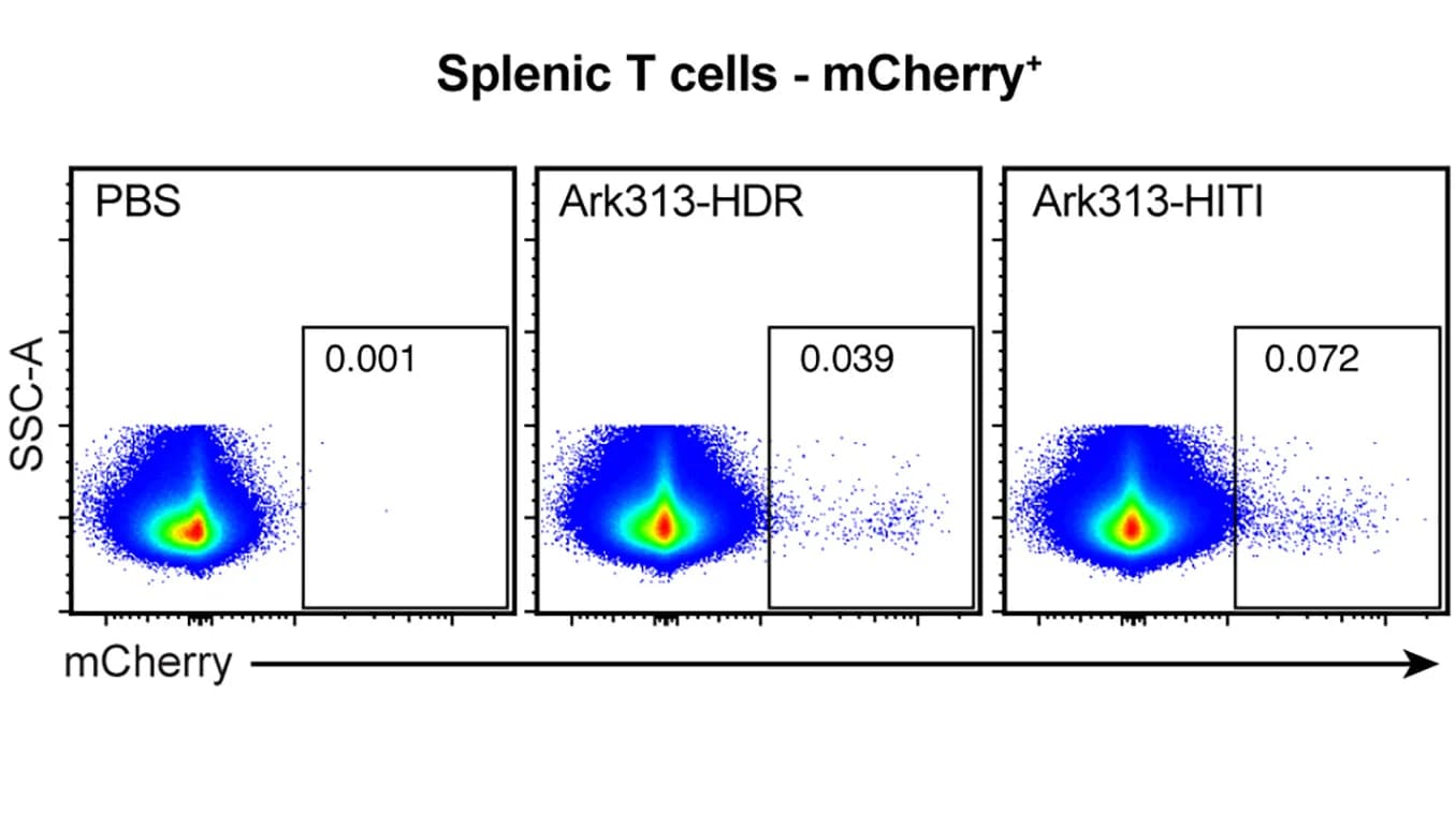 Open access visualization of Scatter Plot, mCherry, Flow Cytometry, Spleen, T Cells