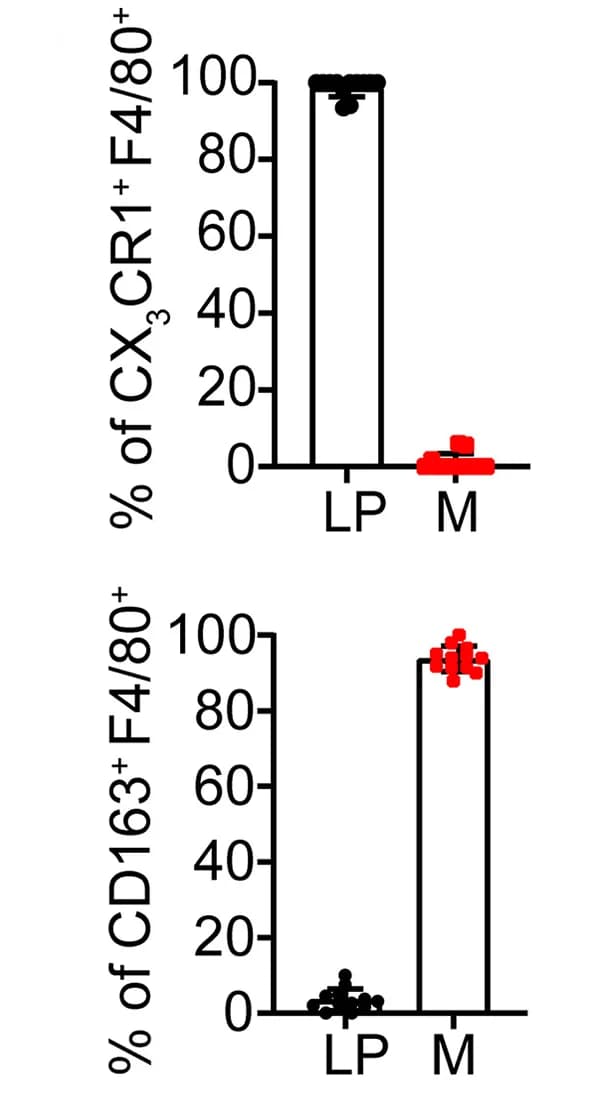 Open access visualization of Bar Plot, Scatter Plot, Macrophage Proportion, CX3CR1+F4/80+ Macrophages, CD163+F4/80+ Macrophages