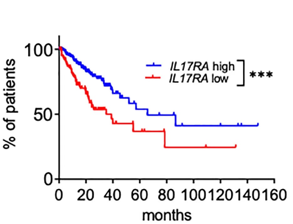 Open access visualization of Survival Curve, Line Plot, Line Step, Kaplan-Meier Plot, Survival