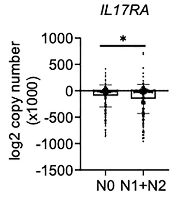Open access visualization of Box Plot, Scatter Plot, IL17RA Expression, Tumors, Lymph Node Metastasis