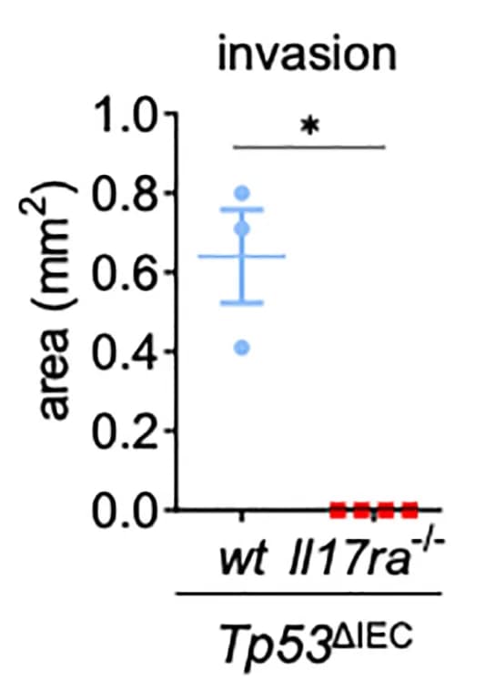Open access visualization of Scatter Plot, Error Bars, Histological Analysis, Invasive Area, AOM-Induced Tumors
