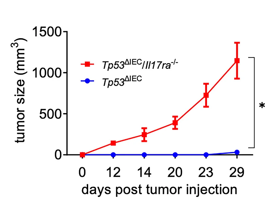 Open access visualization of Line Plot, Error Bars, Tumor Growth Curve, NSG Mice, Subcutaneous Transplant