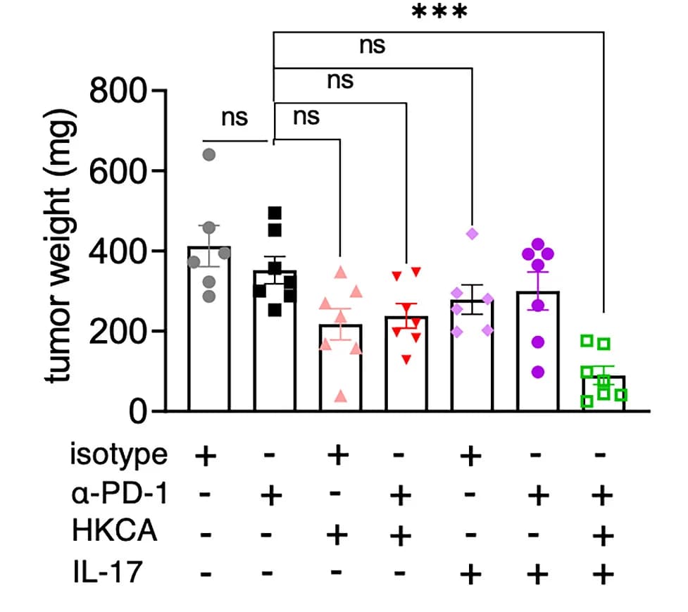 Open access visualization of Bar Plot, Error Bars, Scatter Plot, Tumor Weight, Tumors