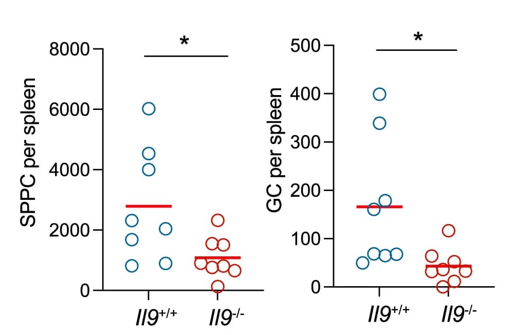 Open access visualization of Scatter Plot, SPPC Cells, GC Cells, Spleen, Quantitative Summary