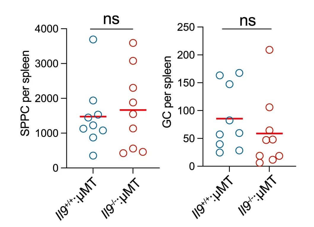 Open access visualization of Scatter Plot, SPPC Cells, GC Cells, Spleen, Recall Response