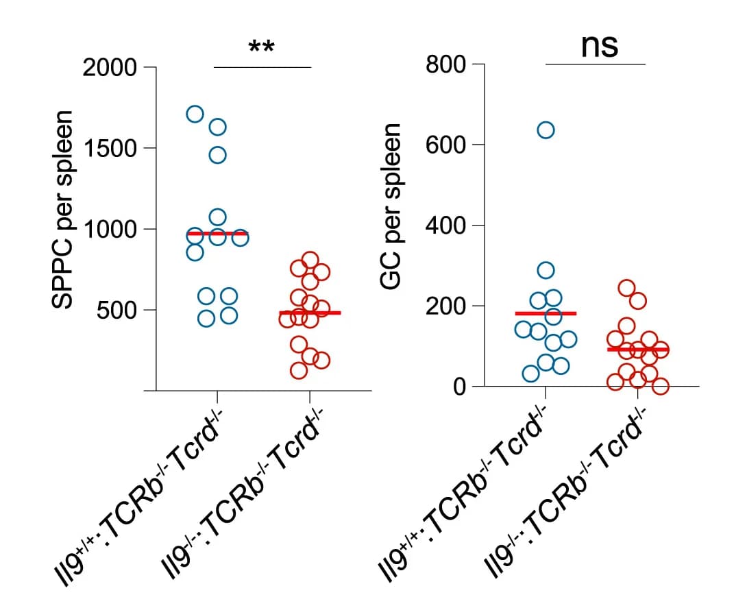Open access visualization of Scatter Plot, SPPC Cells, GC Cells, Spleen, Recall Response