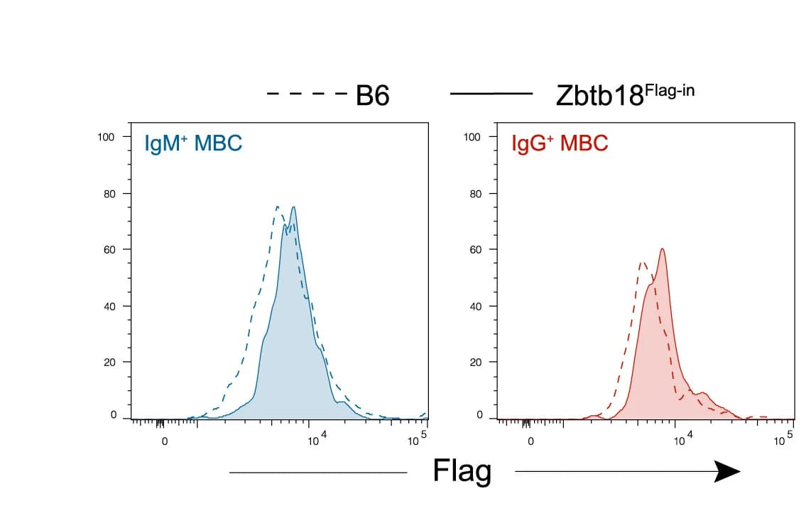 Open access visualization of Line Plot, Density Plot, ZBTB18 Protein Expression, IgM+ MBCs, IgG+ MBCs