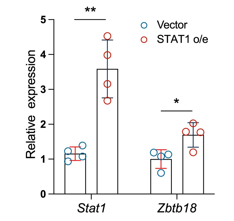 Open access visualization of Bar Plot, Error Bars, Scatter Plot, mRNA Levels, STAT1