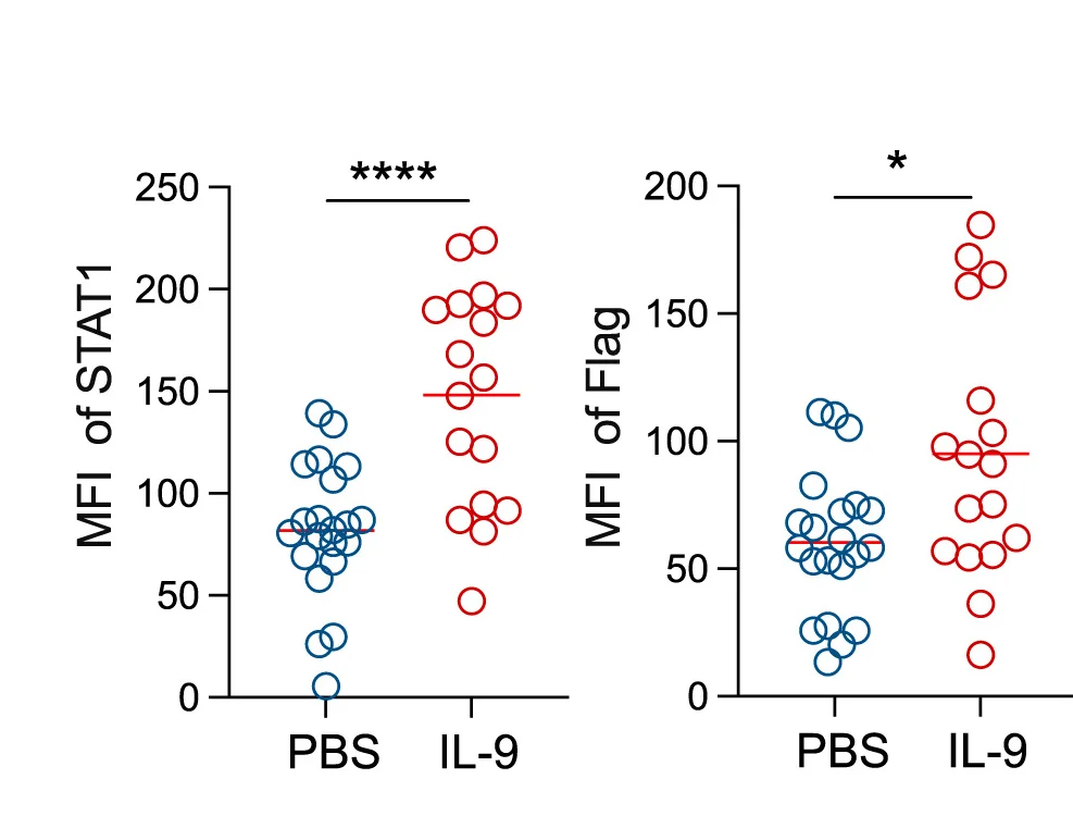 Open access visualization of Scatter Plot, Mean Fluorescence Intensity, STAT1, FLAG Staining, DAPI+ Nuclei