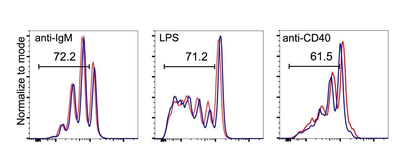 Open access visualization of Line Plot, Density Plot, Proliferation, Cd79acre/+ Mice, Cd79acre/+Zbtb18fl/fl Mice