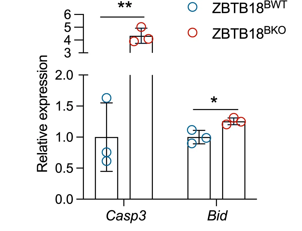 Open access visualization of Bar Plot, Error Bars, Clustered, Scatter Plot, mRNA Expression
