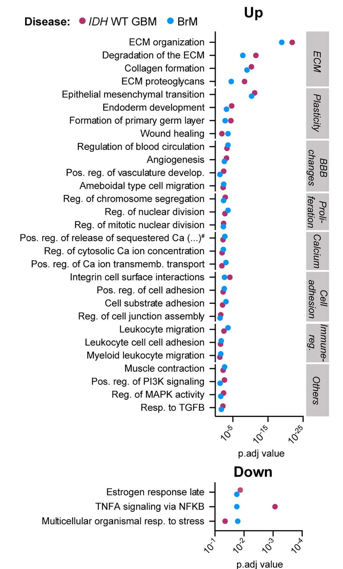 Open access visualization of Scatter Plot, Dotplot, Pathways, Hallmark, Reactome