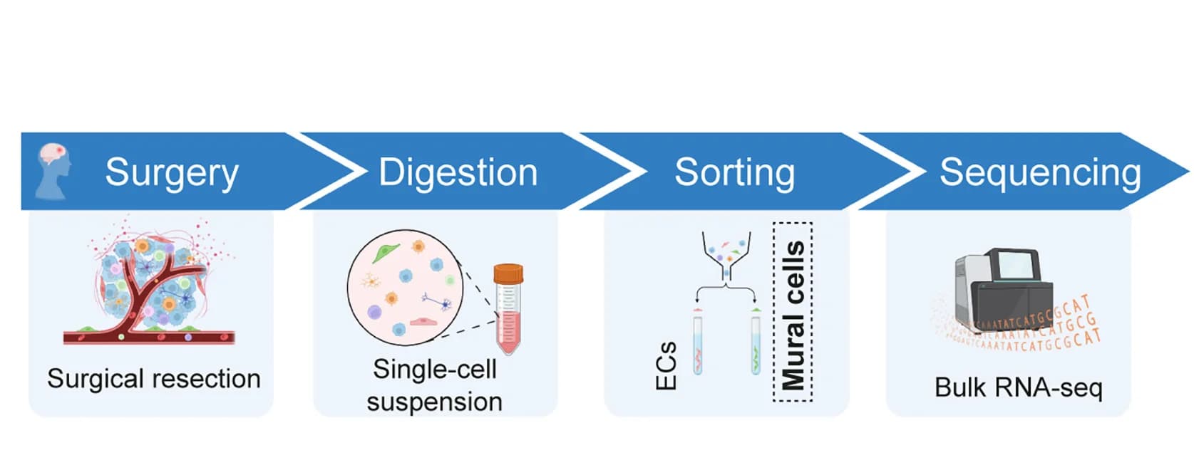 Open access visualization of Workflow, Illustration, Clinical Sample, Processing Pipeline, Experimental Design