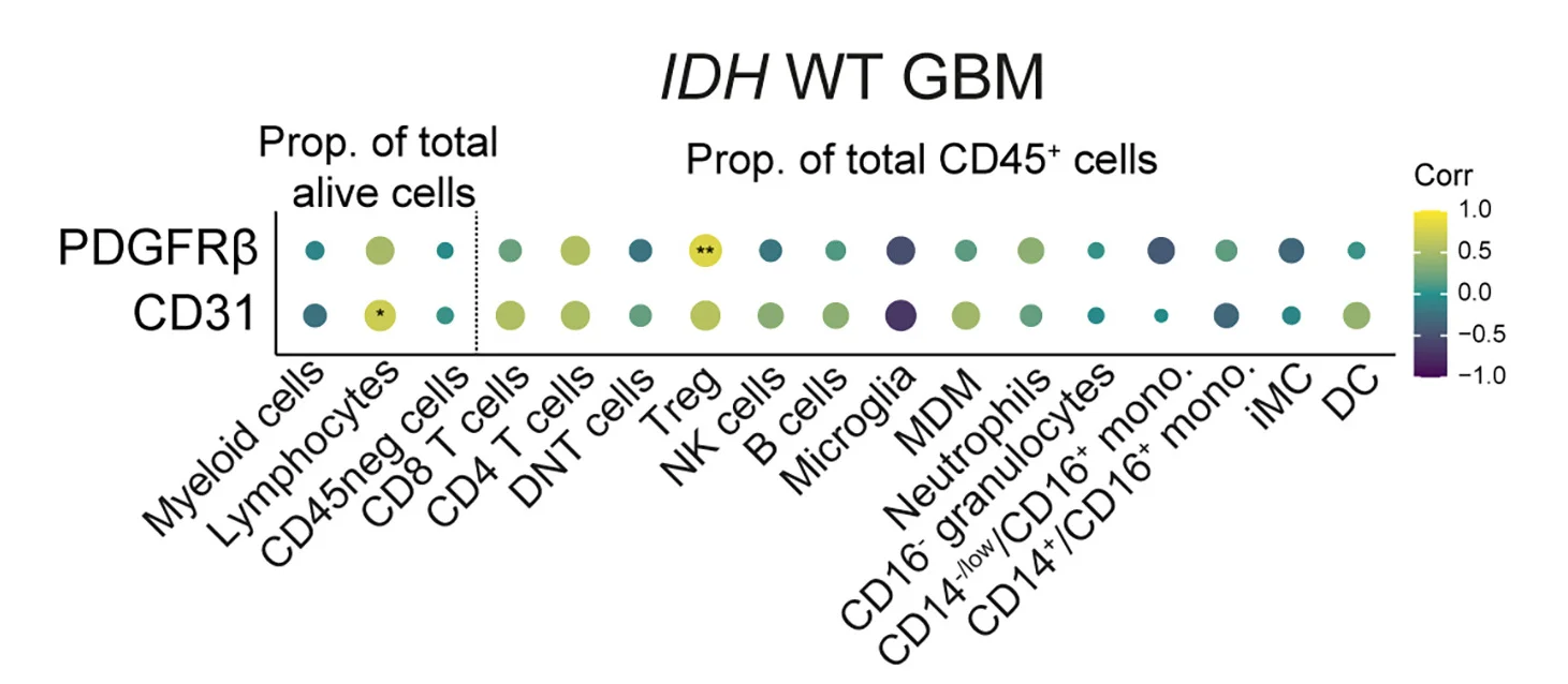 Open access visualization of Bubble Plot, Correlation Matrix, BBB Dysfunction Score, Endothelial Cells, Mural Cells