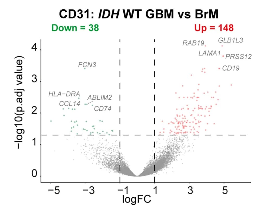 Open access visualization of Scatter Plot, Regression Plot, Volcano Plot, DEGs, Endothelial Cells