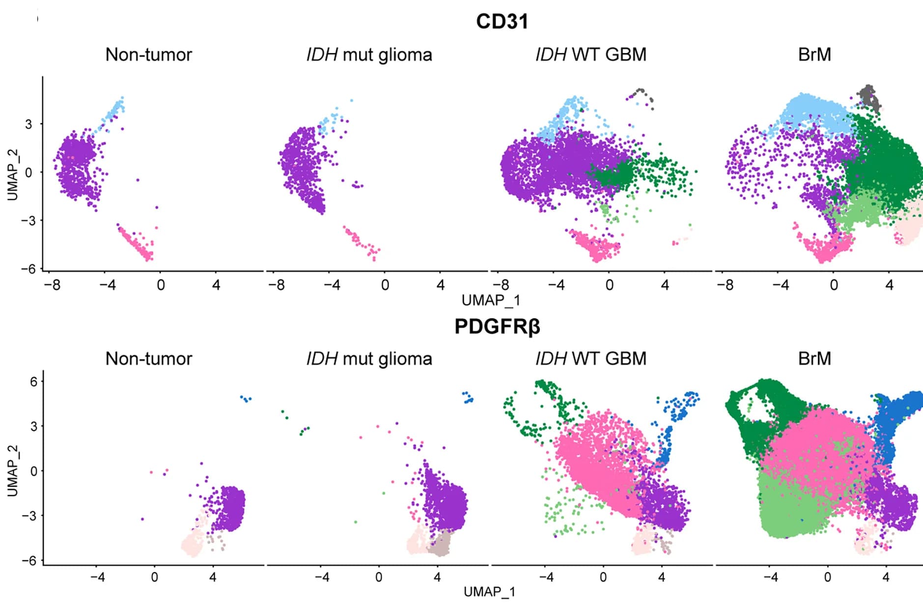 Open access visualization of Scatter Plot, UMAP, UMAP Plots, CD31+ Cells, PDGFR+ Cells