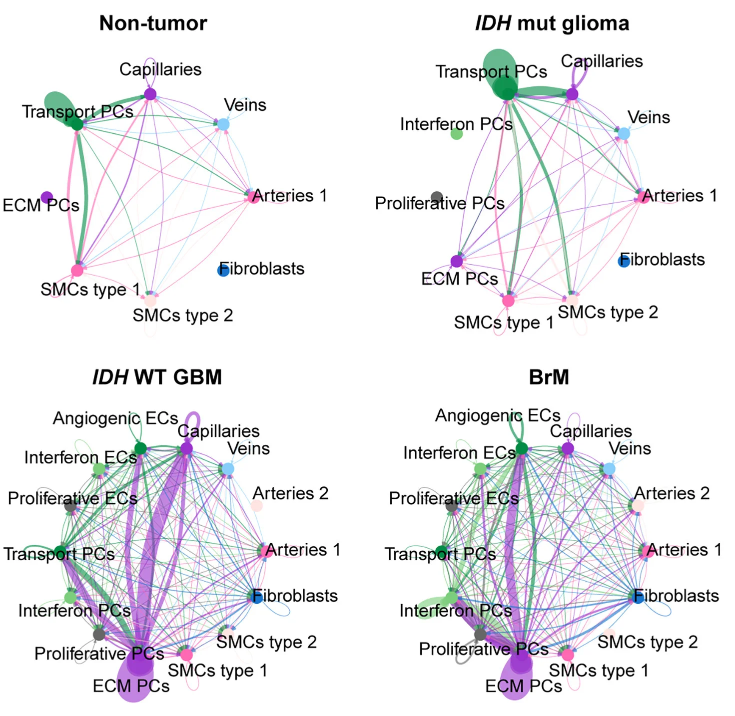 Open access visualization of Network, Pathway, Chord Plots, Cell Type, Non-Tumor