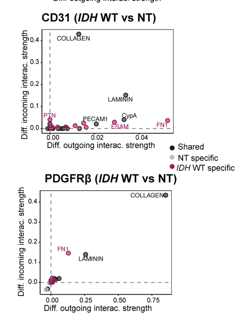 Open access visualization of Scatter Plot, Signaling Alterations, Endothelial Cells, Mural Cells, BrM Samples
