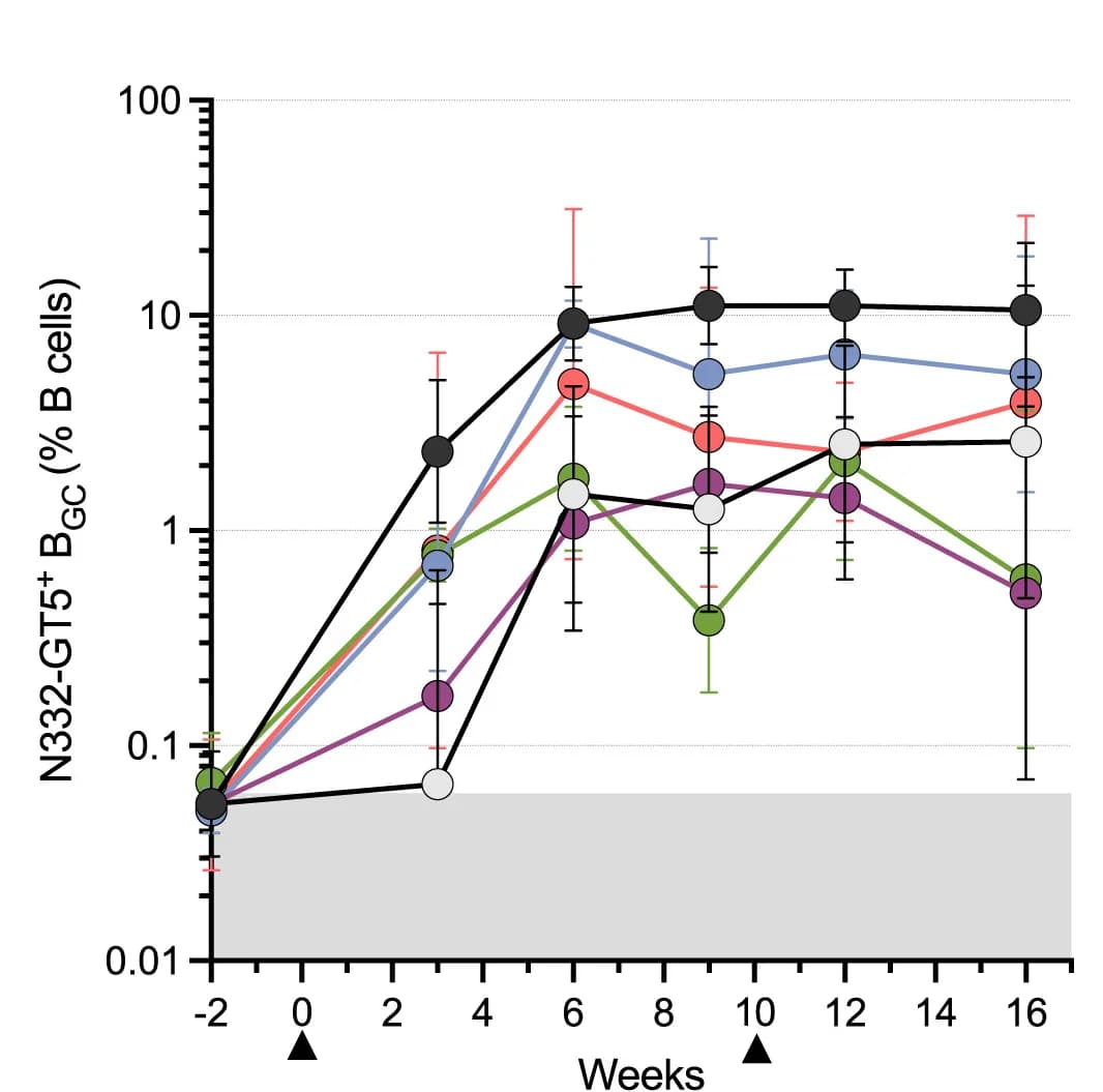 Open access visualization of Line Plot, Error Bars, Frequency, B Cells, Immunizations