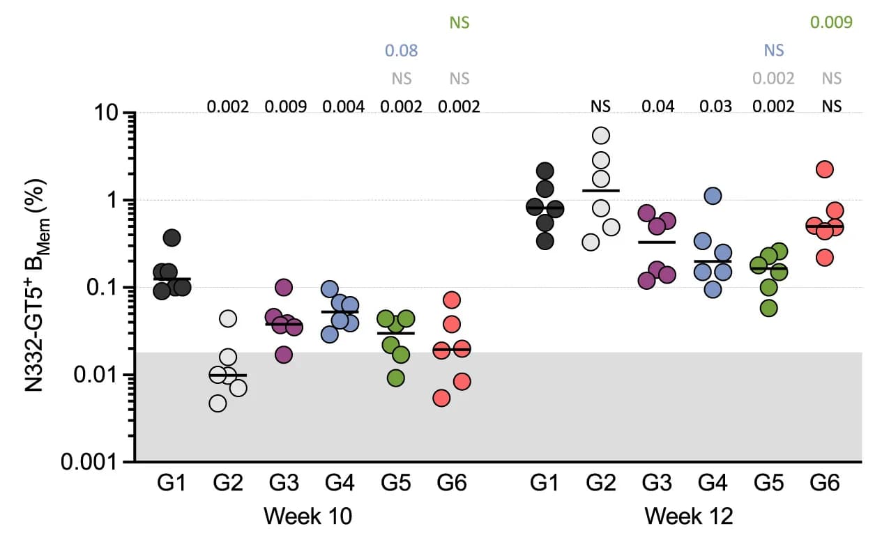 Open access visualization of Scatter Plot, Antigen-Specific Bmem, Animal Model