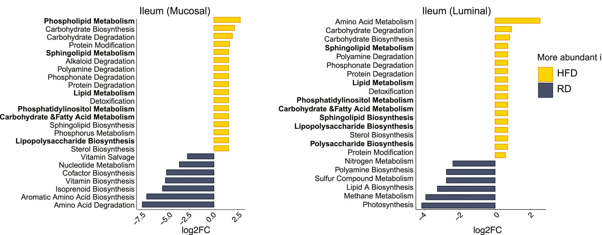 Open access visualization of Bar Plot, Differentially Abundant Metabolic Pathways, MetaCyc, RD Groups, HFD Groups