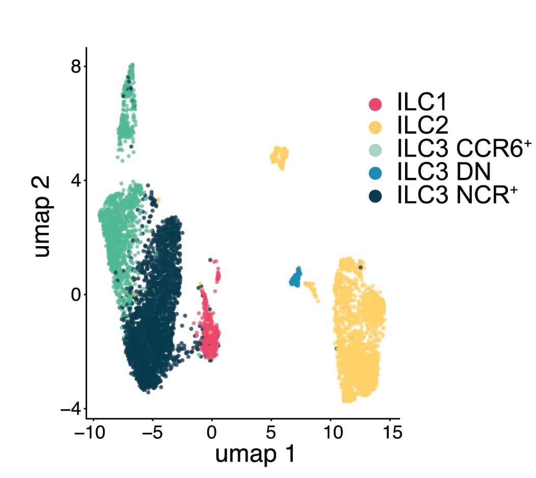 Open access visualization of Scatter Plot, UMAP, Sub-clustering, ILC Subsets