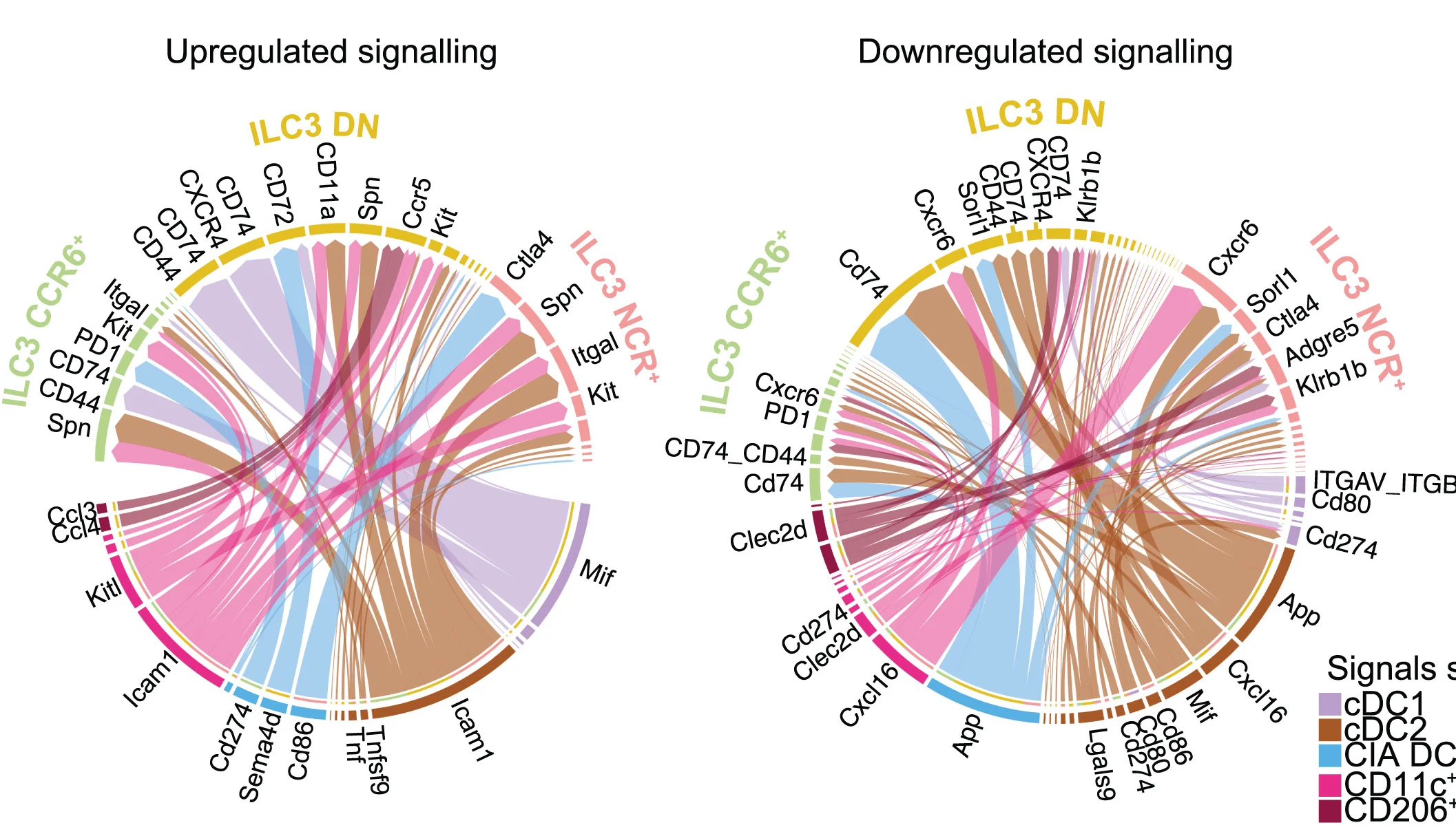 Open access visualization of Chord, Chord Diagram, Ligand-Receptor Interactions, DCs, Macrophages