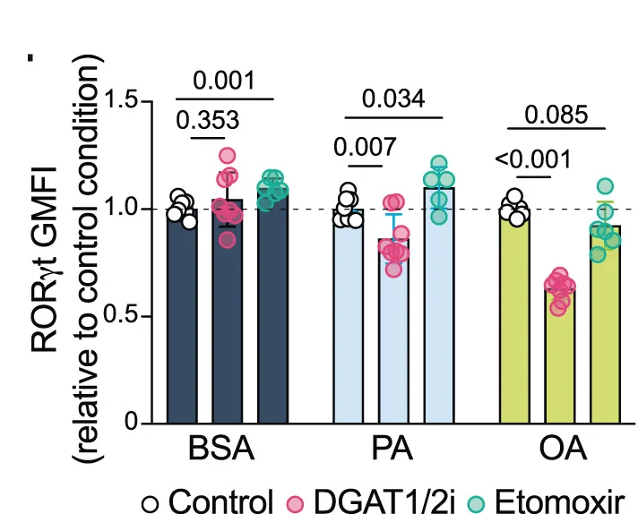 Open access visualization of Bar Plot, Scatter Plot, Error Bars, RORt GMFI, ILC3s