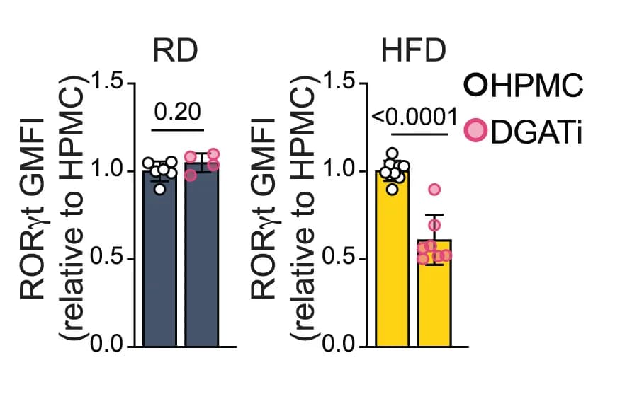 Open access visualization of Bar Plot, Error Bars, RORγt GMFI, ILC3, DGAT Inhibitor